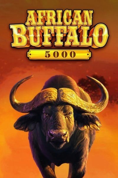 Cover of the pokie African Buffalo 5000 from the Casinova lobby